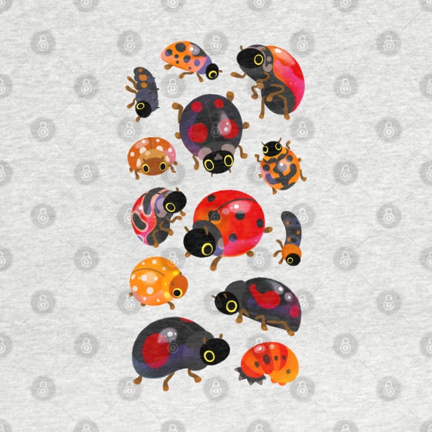 Lady beetles by pikaole